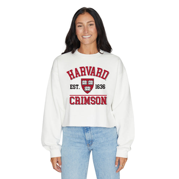 HARVARD CRIMSON ラガーシャツ　ワッペン　ワインレッド　36 XL HARVARD CRIMSON ラガーシャツ ワッペン ワインレッド 36 XL ウェア