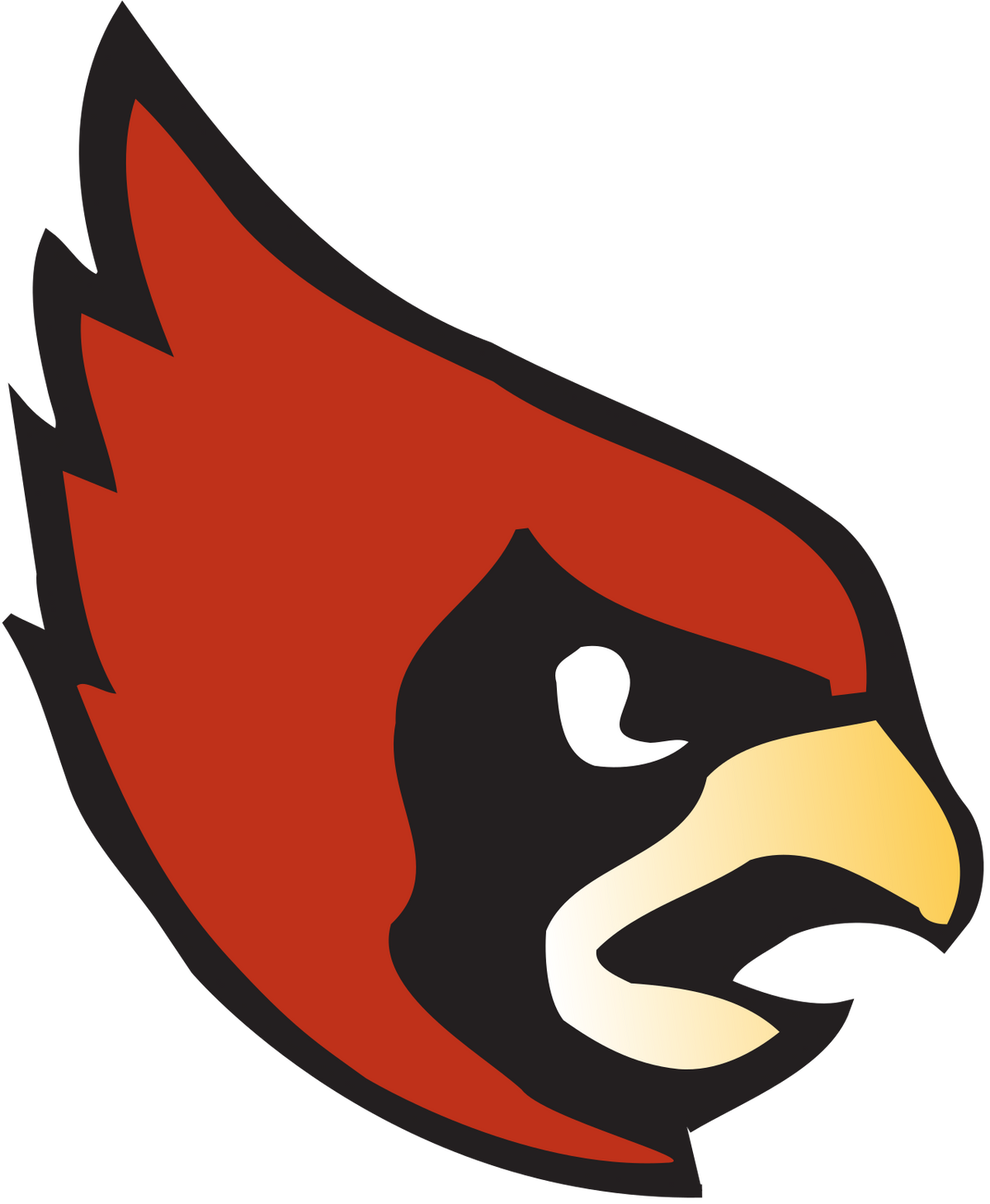 Catholic University Cardinals