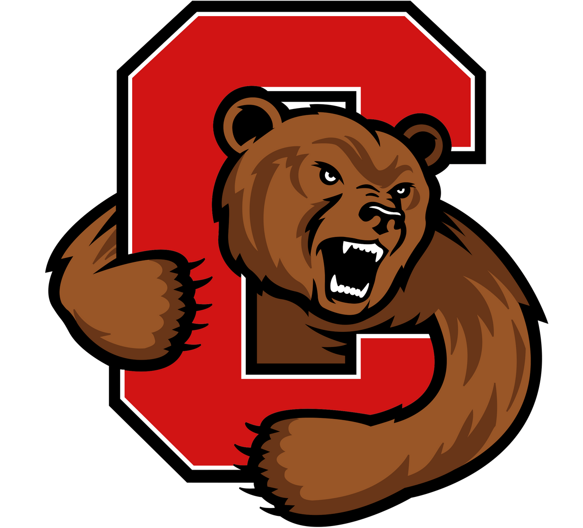 Cornell Big Red