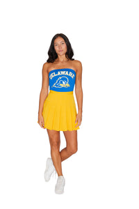Delaware Blue Tube Top