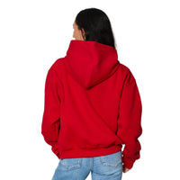Florida Atlantic Owls Red Gingham Hoodie