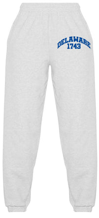Delaware Established Sweatpants