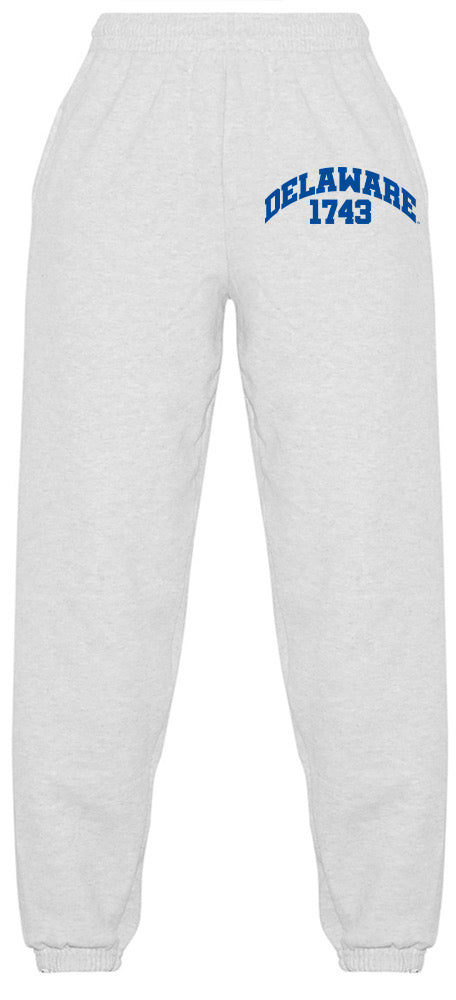 Delaware Established Sweatpants