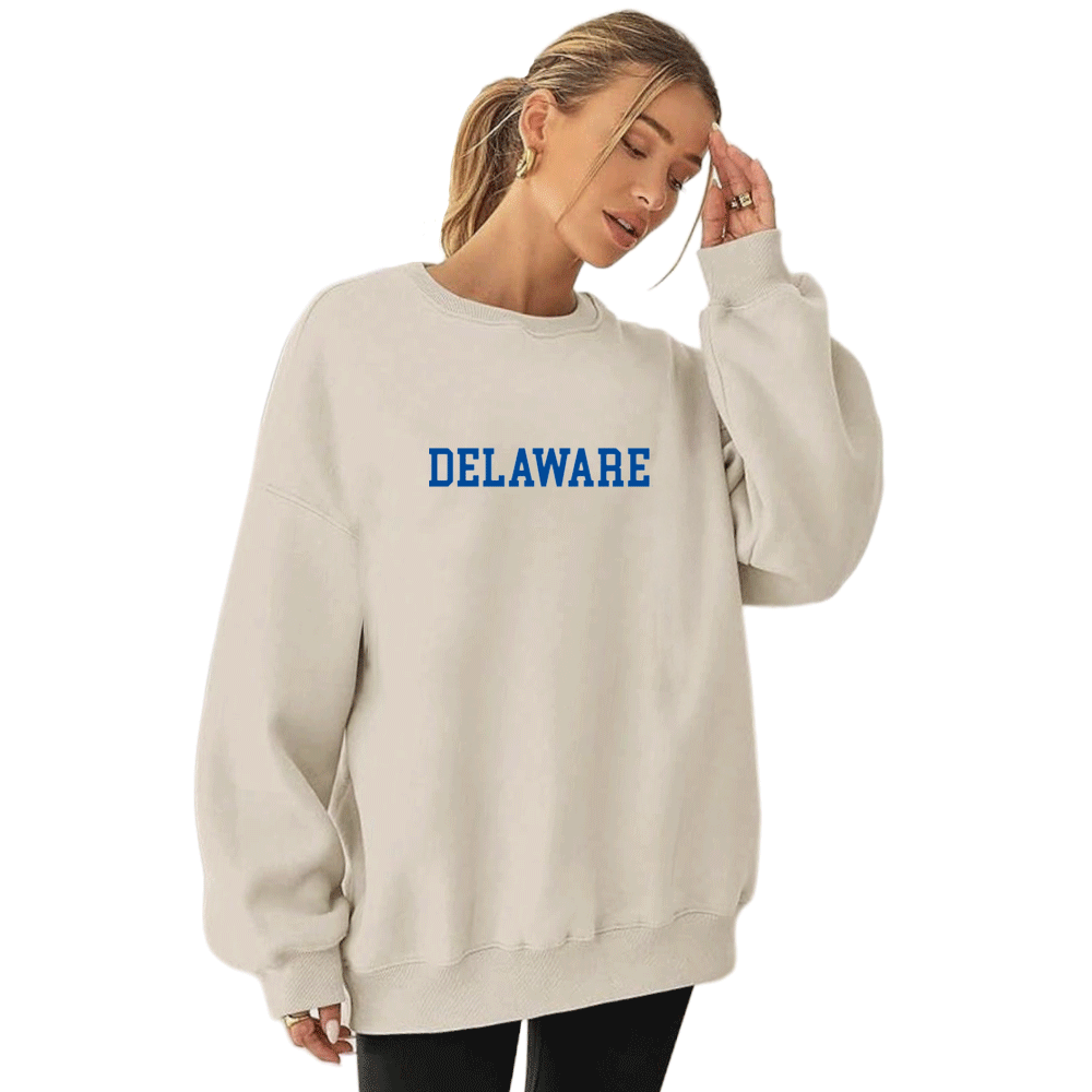 Delaware Embroidered Taupe Crewneck