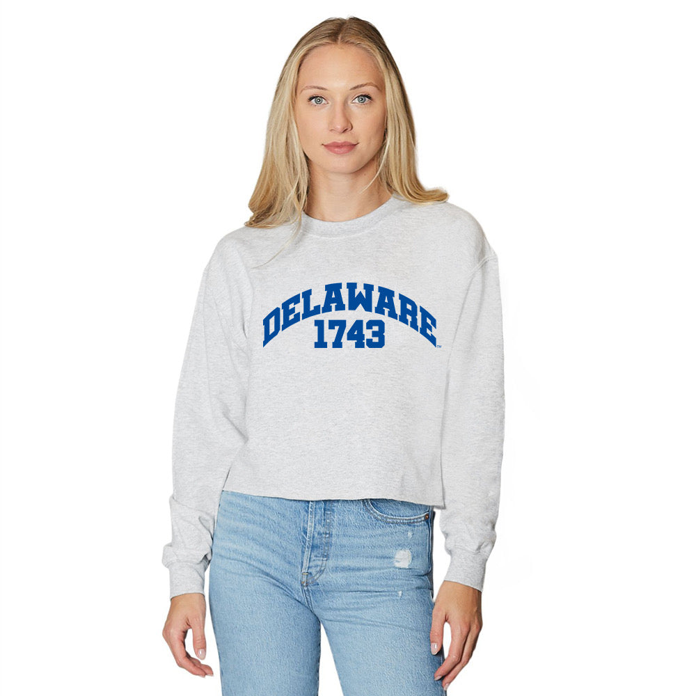Delaware Established Crewneck