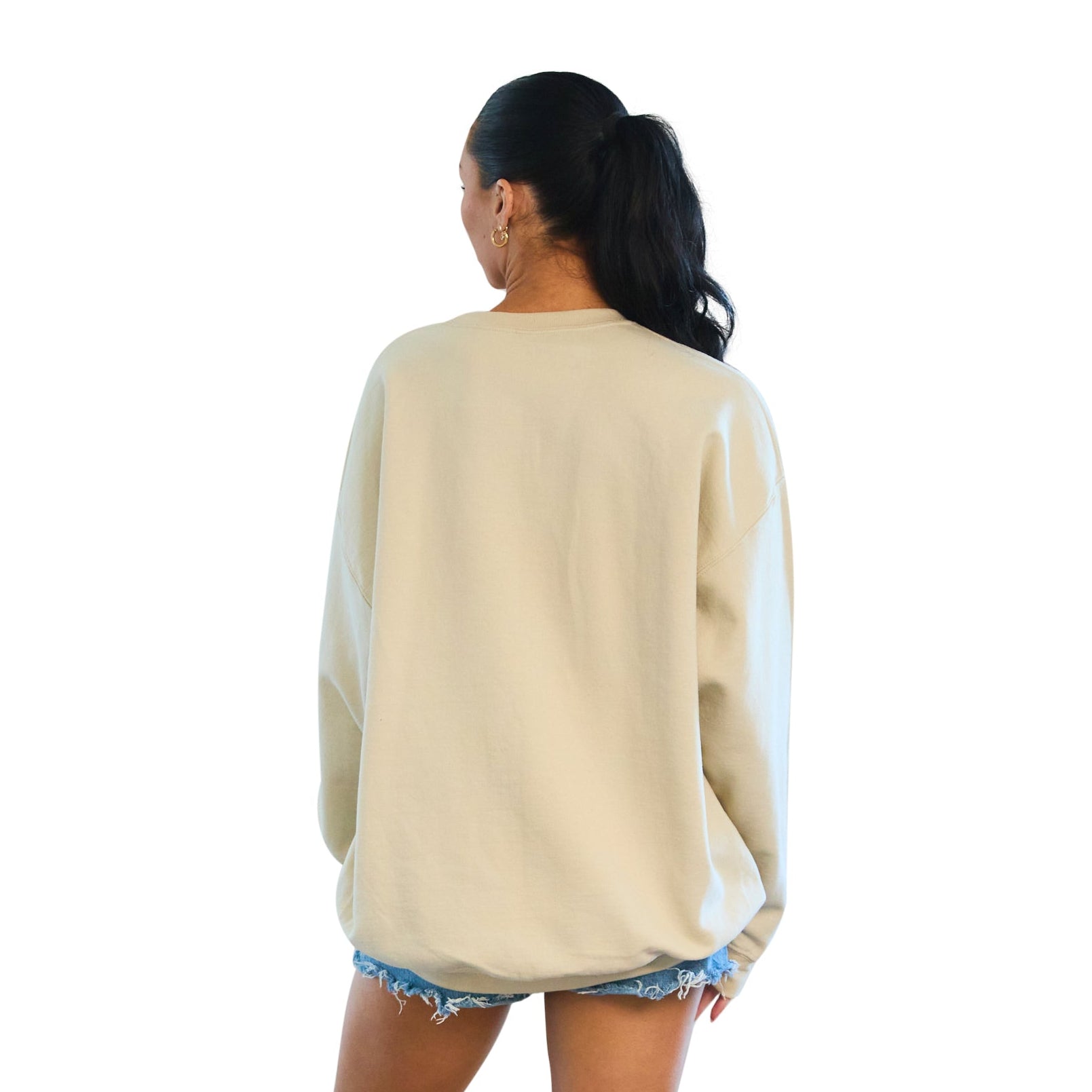 Iowa Hawkeyes Embroidered Taupe Crewneck