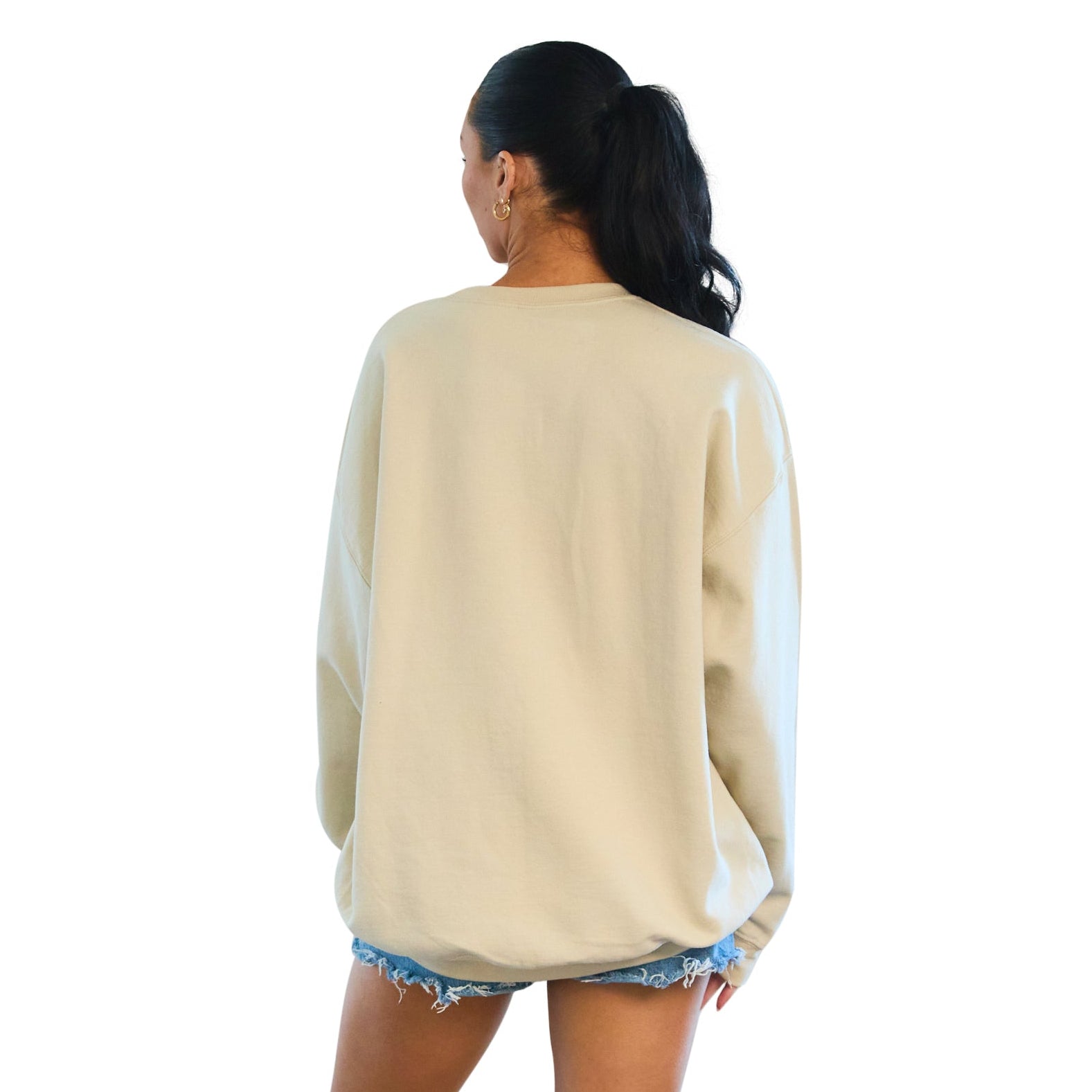 University of Michigan Embroidered Taupe Crewneck
