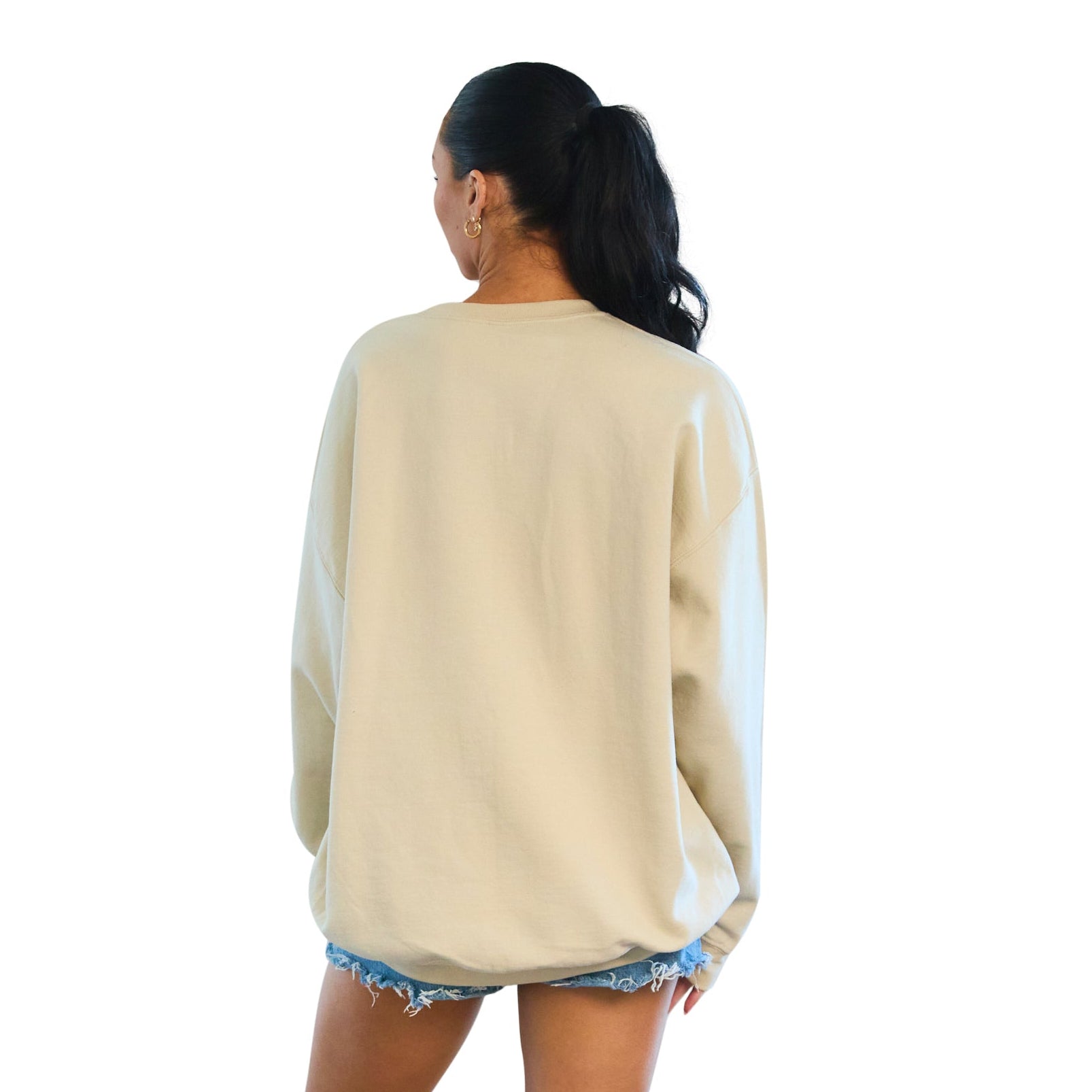 Delaware Embroidered Taupe Crewneck