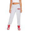 American University Established Sweatpants