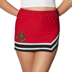 Cornell Game Day Skirt