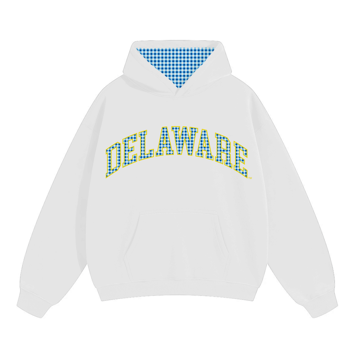 Delaware Gingham Hoodie