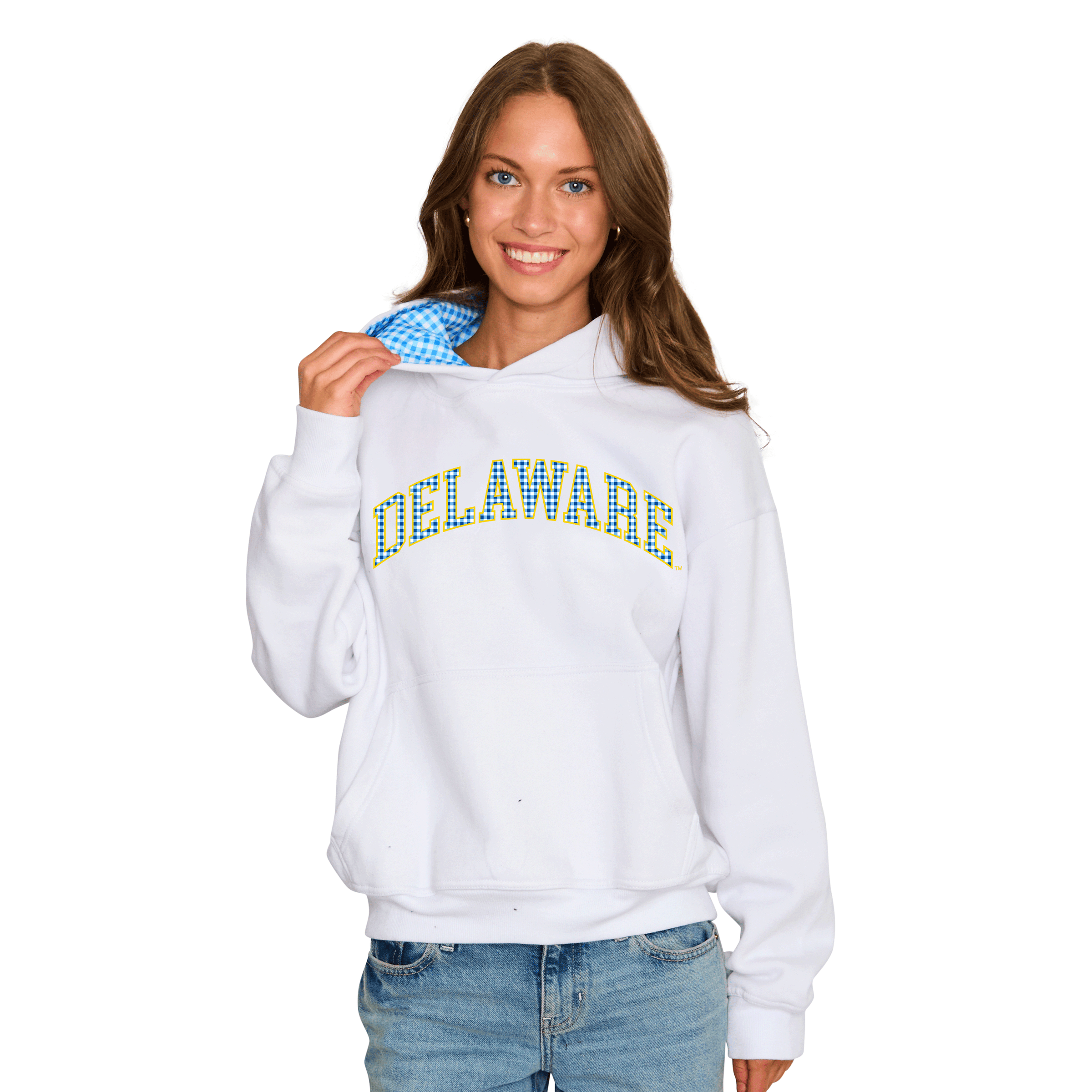 Delaware Gingham Hoodie