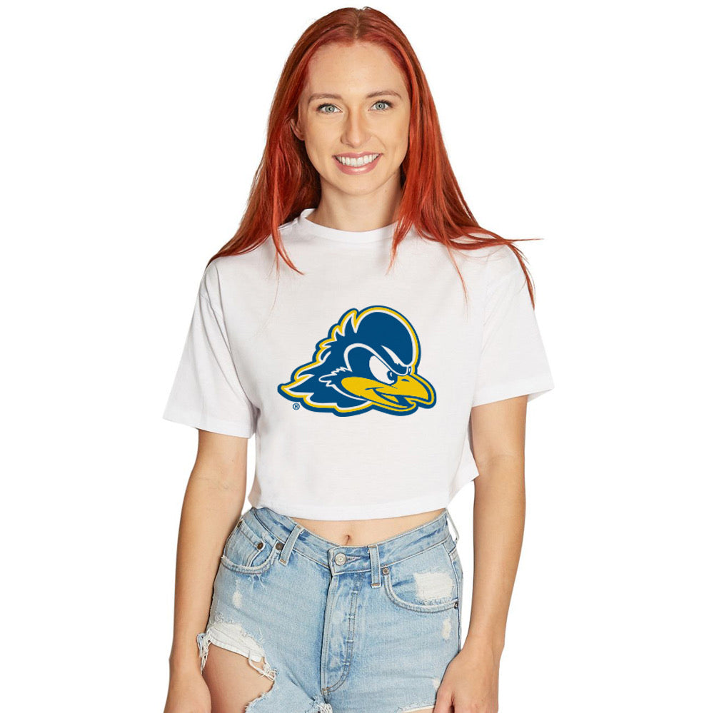 Delaware Blue Hens Tee