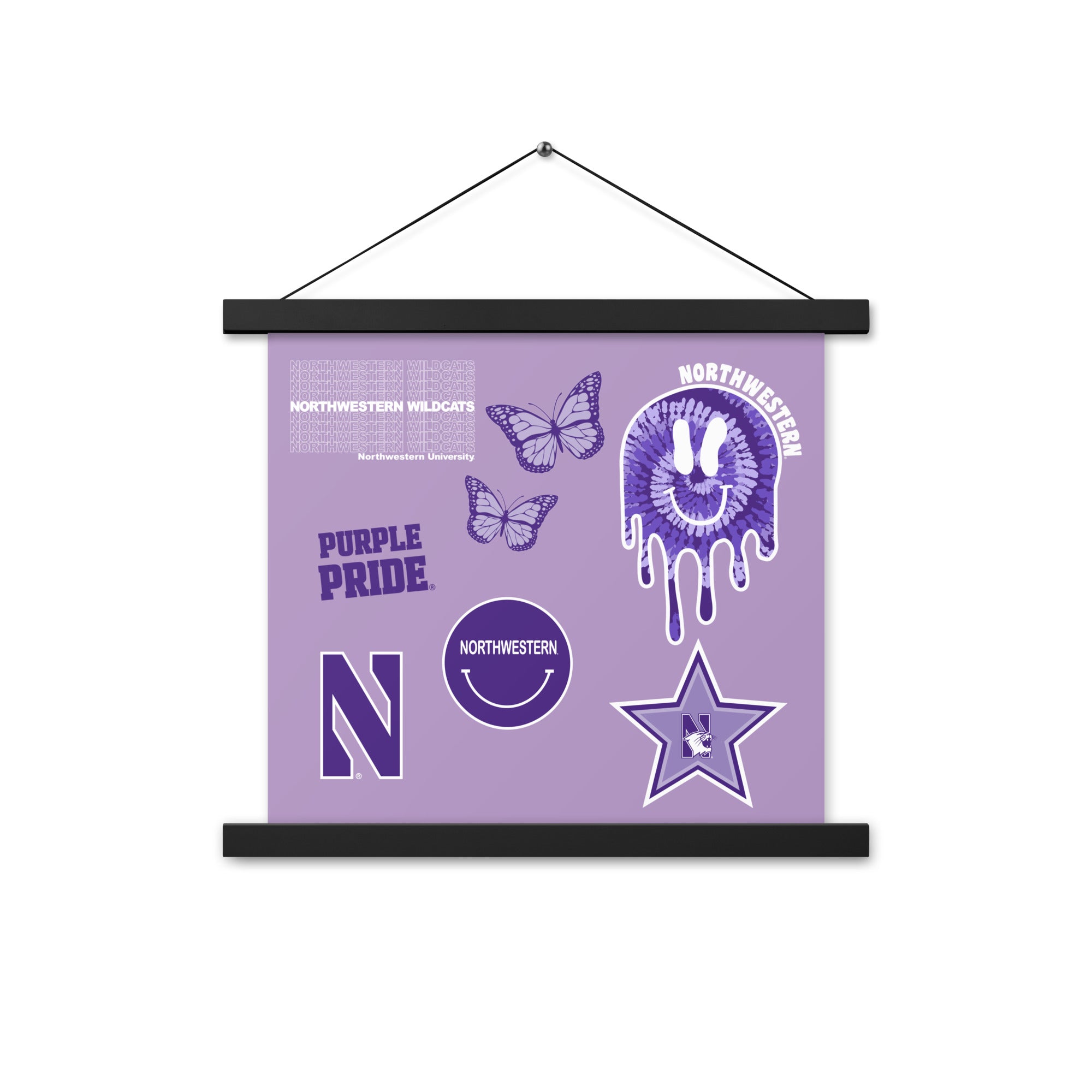 Northwestern Wildcats Dorm Decor