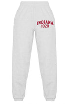 Indiana Hoosiers Established Sweatpants