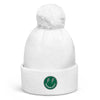 Michigan State Beanie