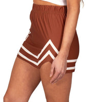 Lehigh Game Day Skirt