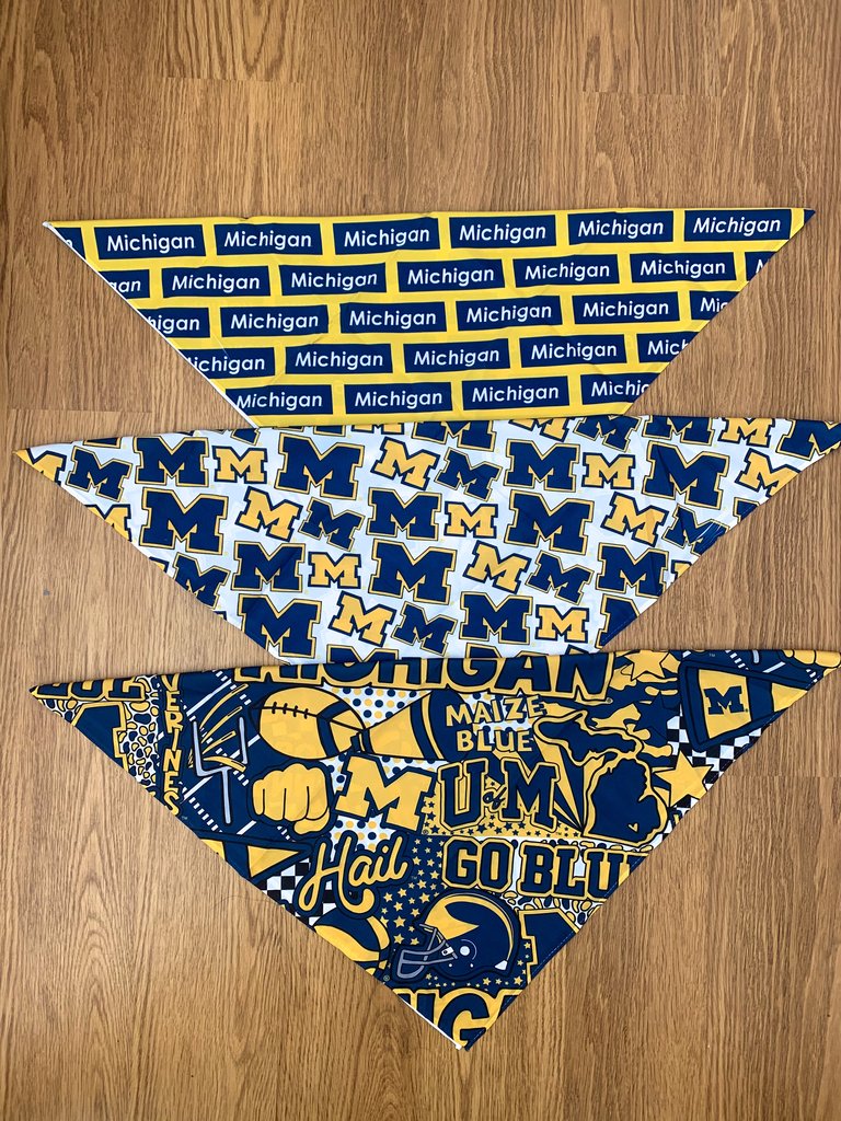 University of Michigan Pattern Bandana Top