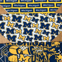 University of Michigan Pattern Bandana Top