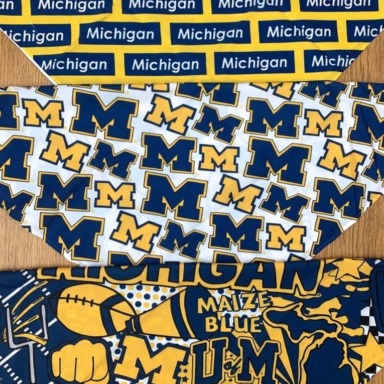 University of Michigan Pattern Bandana Top