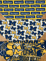 University of Michigan Block Pattern Bandana Top