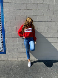 Wisconsin Teddy Quarter Zip