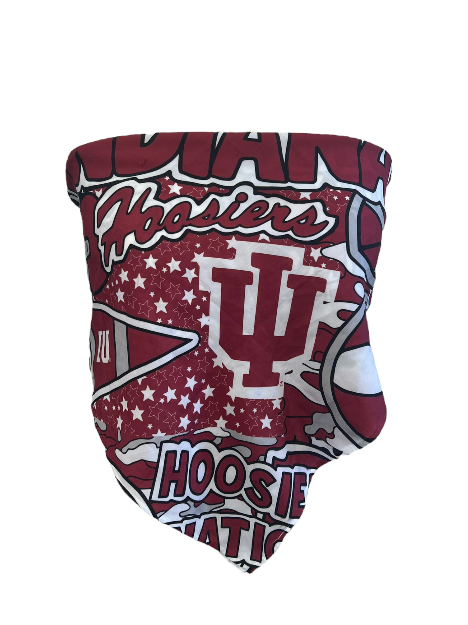 Indiana Collage Bandana Top