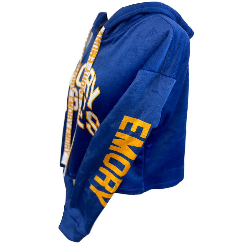 Emory Varsity Furry Hoodie lojobands