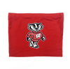 Wisconsin Badgers Bucky Tube Top