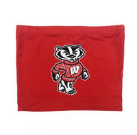 Wisconsin Badgers Bucky Tube Top
