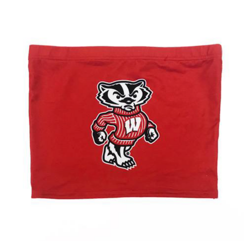 Wisconsin Badgers Bucky Tube Top