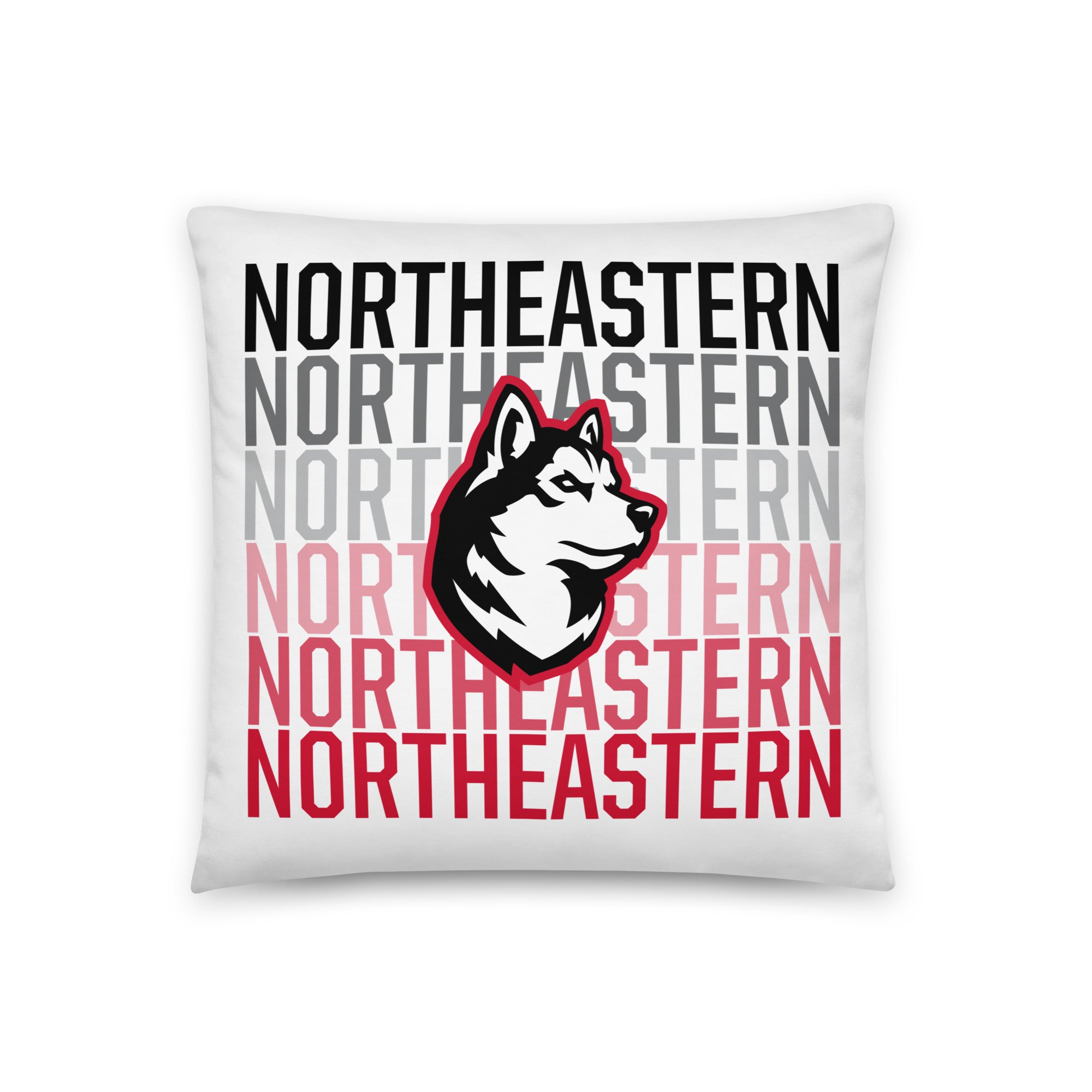 Northeastern Pillow