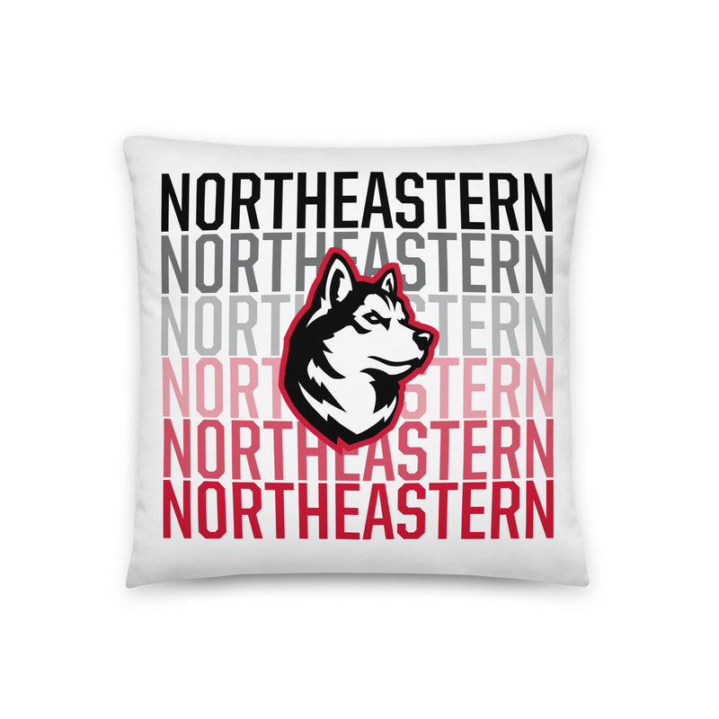 Northeastern Pillow