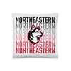 Northeastern Pillow