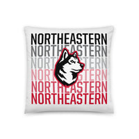 Northeastern Pillow
