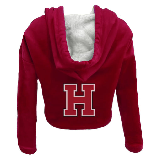 Harvard Varsity Furry Hoodie