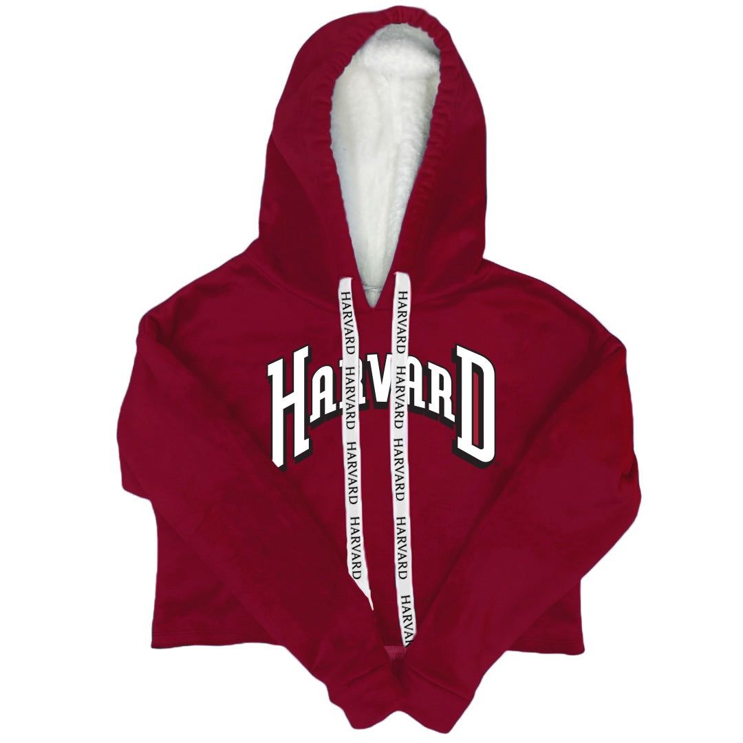 Harvard Varsity Furry Hoodie