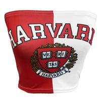Harvard University Two Tone Tube Top