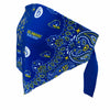 Delaware Bandana Top
