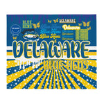 Delaware Plush Blanket